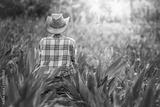 preview bw
