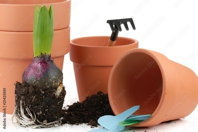 image to crop