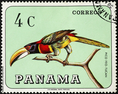 image to crop