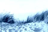 preview cold
