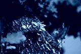 preview cold