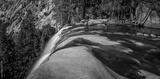 preview bw