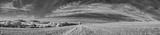 preview bw