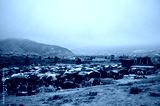 preview cold