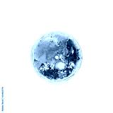 preview cold