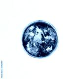 preview cold