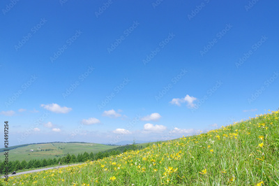image to crop