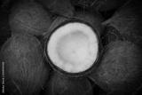 preview bw