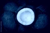 preview cold