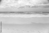 preview bw