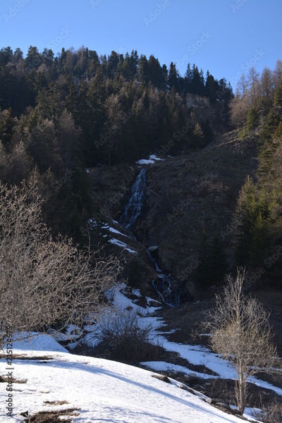 image to crop