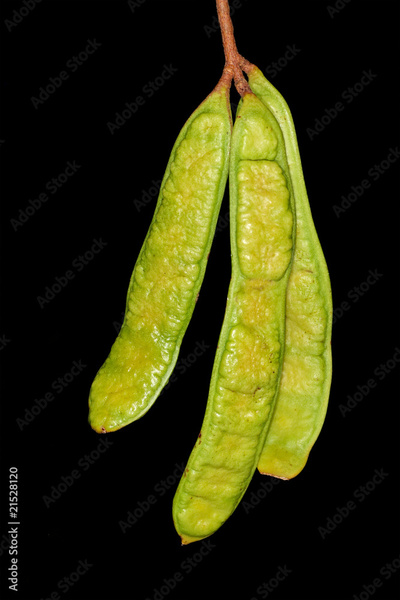 image to crop