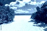 preview cold