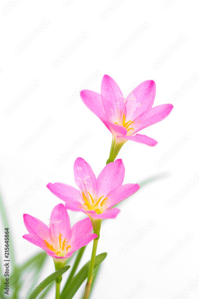 image to crop