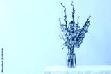 preview cold