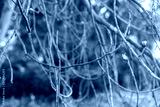 preview cold