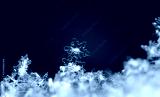 preview cold