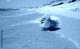 preview cold