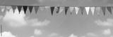 preview bw