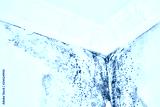 preview cold
