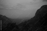 preview bw