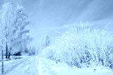 preview cold