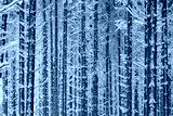 preview cold