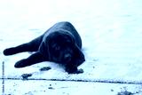 preview cold
