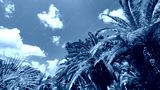 preview cold