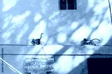 preview cold