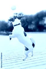 preview cold