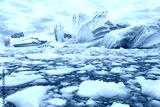 preview cold