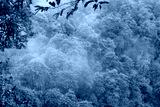 preview cold
