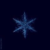 preview cold