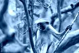preview cold