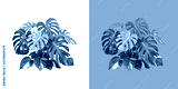 preview cold