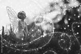preview bw