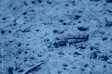 preview cold