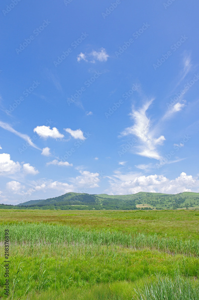 image to crop