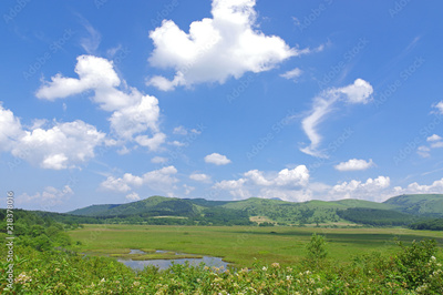 image to crop