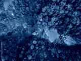 preview cold