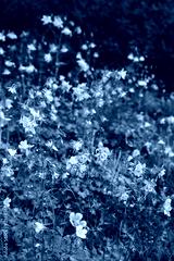 preview cold