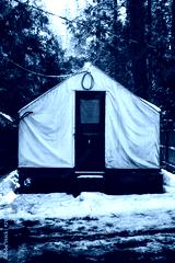 preview cold