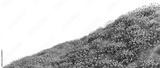 preview bw