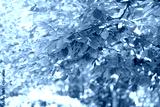 preview cold