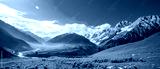 preview cold