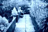 preview cold