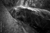 preview bw