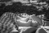 preview bw