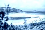 preview cold